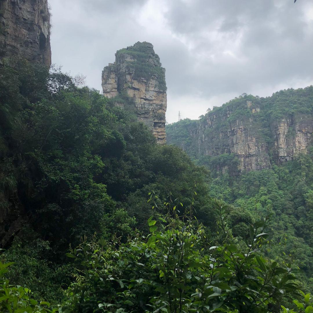 《纯粹》精品女装