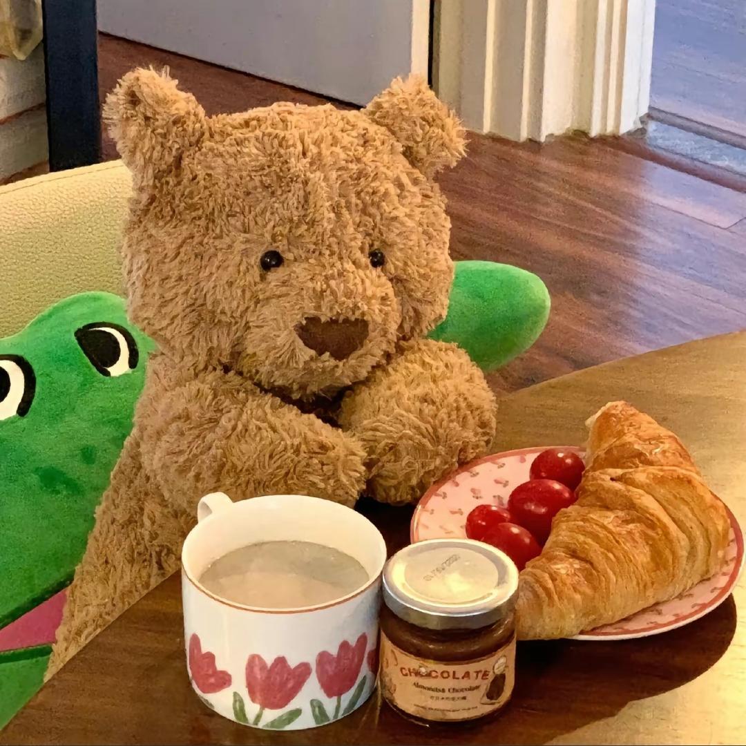 东北小琪🇨🇳