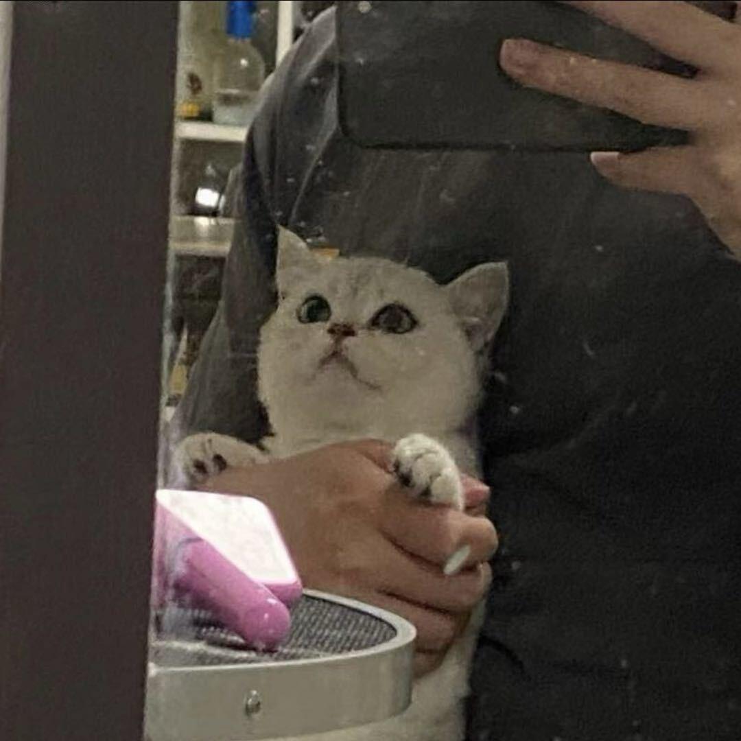不嘻嘻