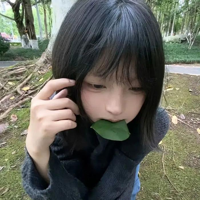 硪🪨尼蝶
