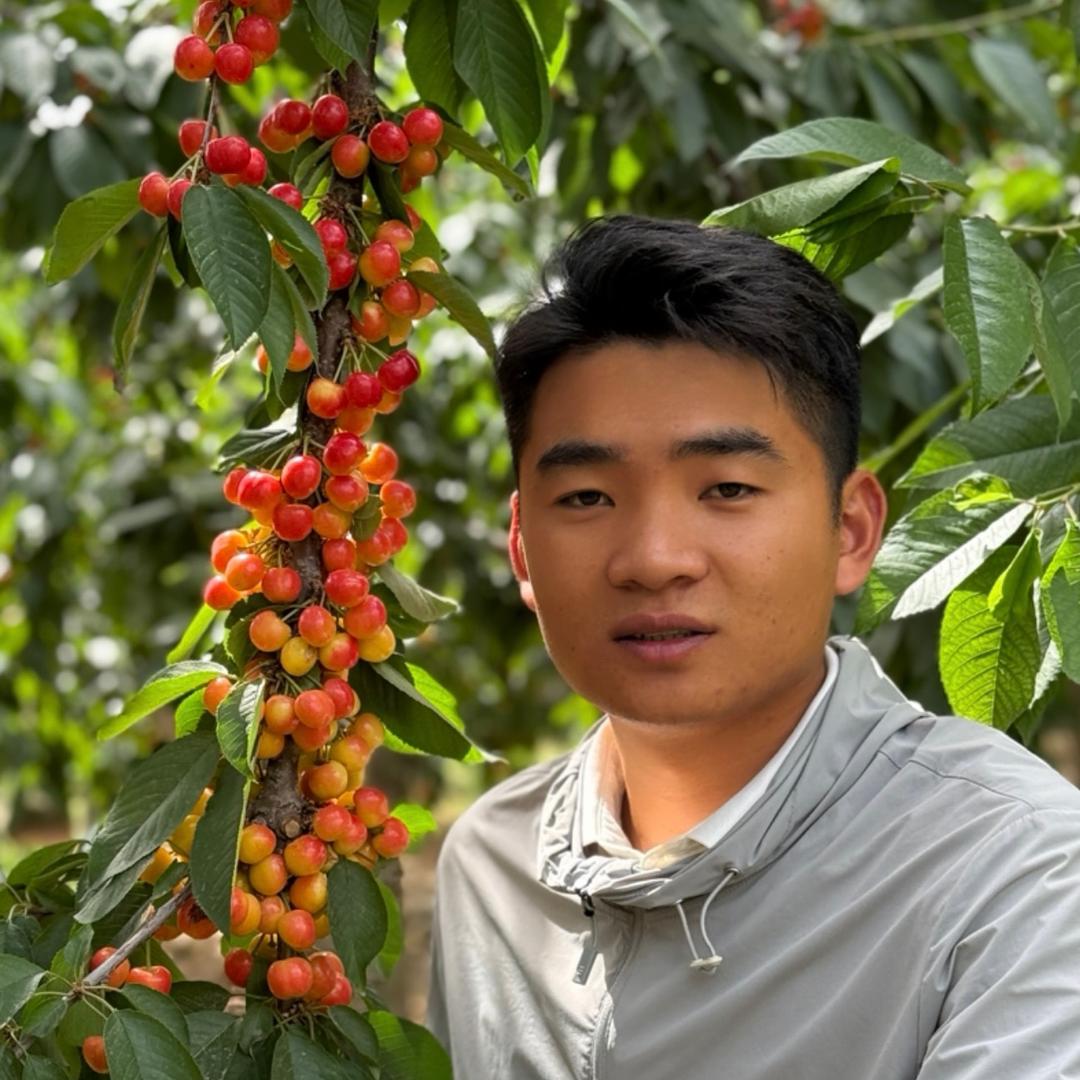 全中张同学讲果树