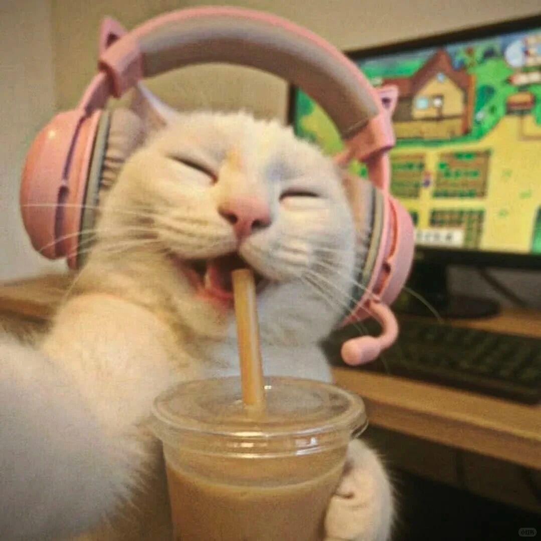 芒果味🥭西瓜🍉桃🍑