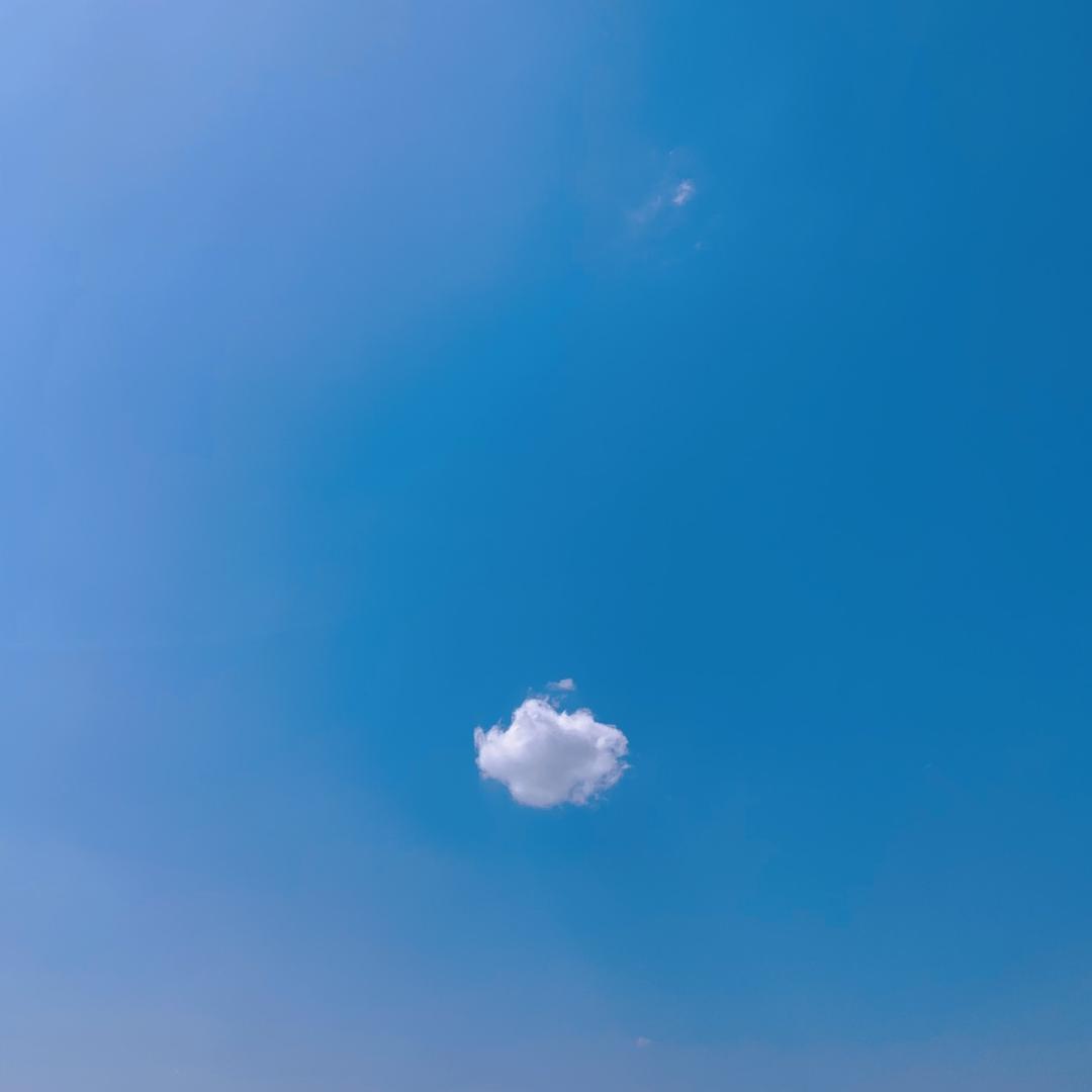 郑天雷