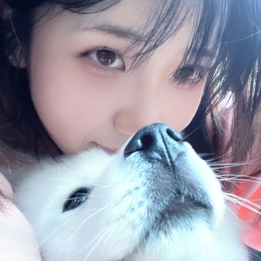 景鹰新能源轻改贴膜程程