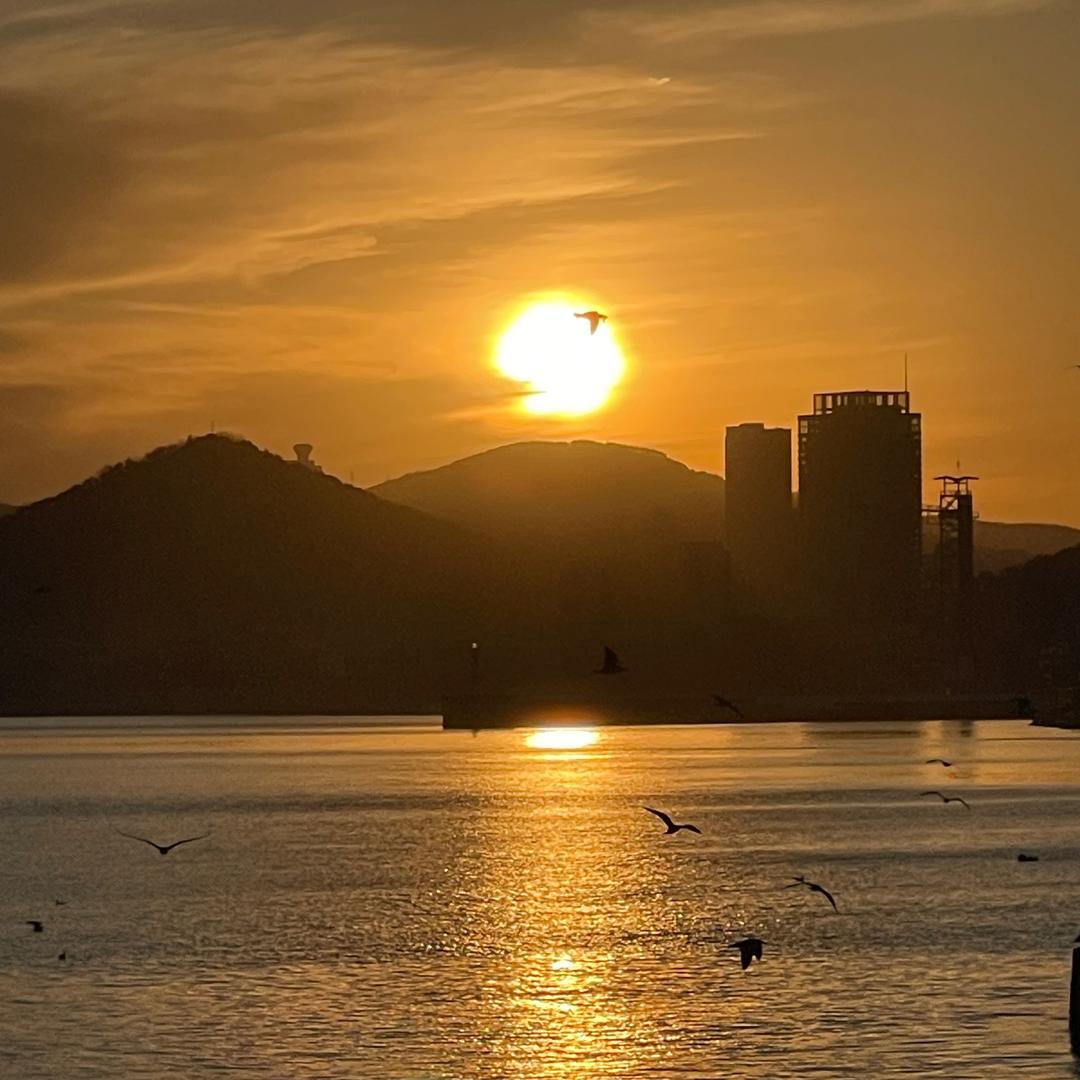小棠（壮志雄心）