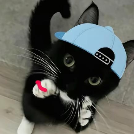 ㅤㅤㅤ       ㅤㅤㅤ