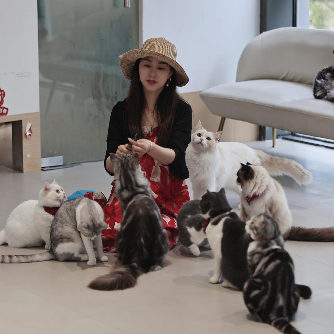 遇见猫咖啡撸猫馆