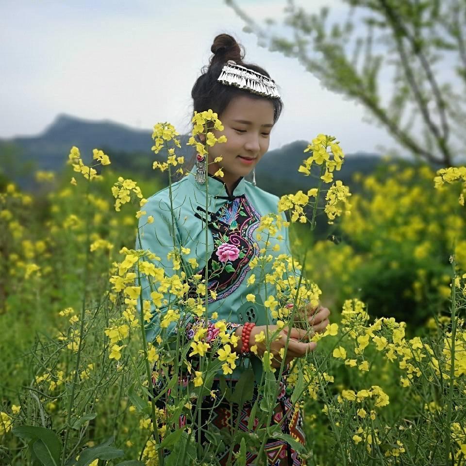杨杨旅行（张家界）