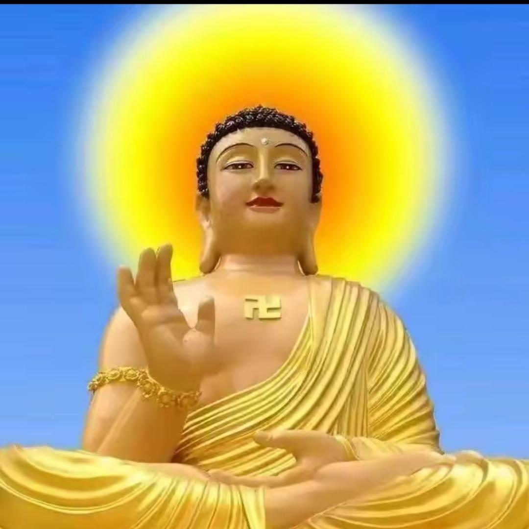 悟尘师傅🙏