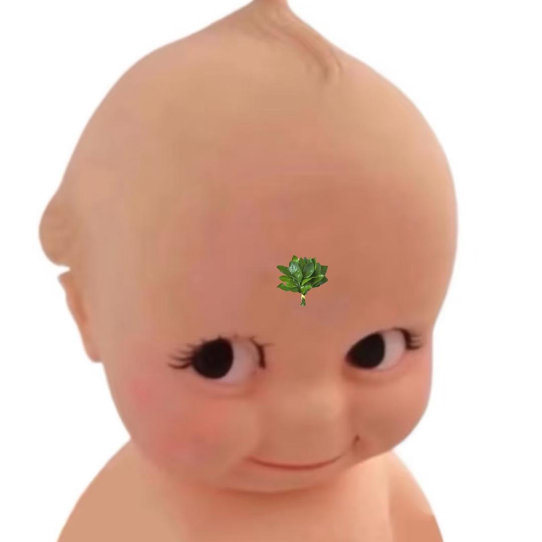 有风度的巴斯neo