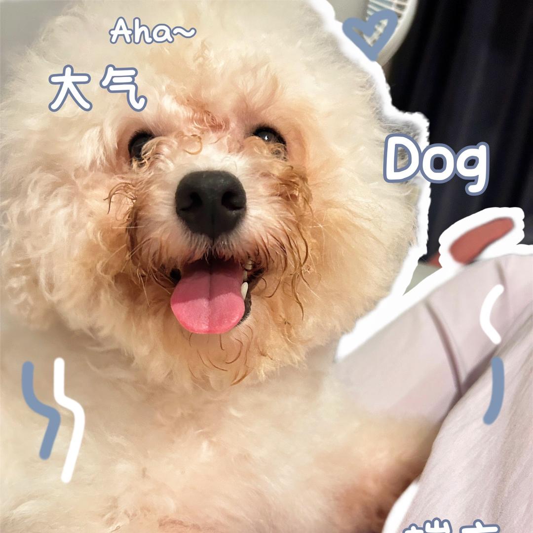 安安哦
