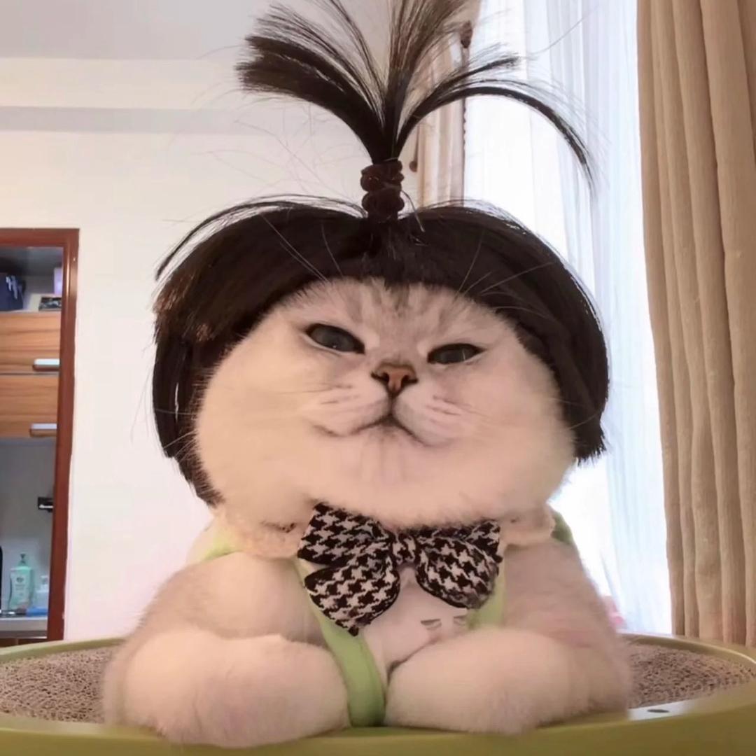 小娴子˙Ⱉ˙ฅ