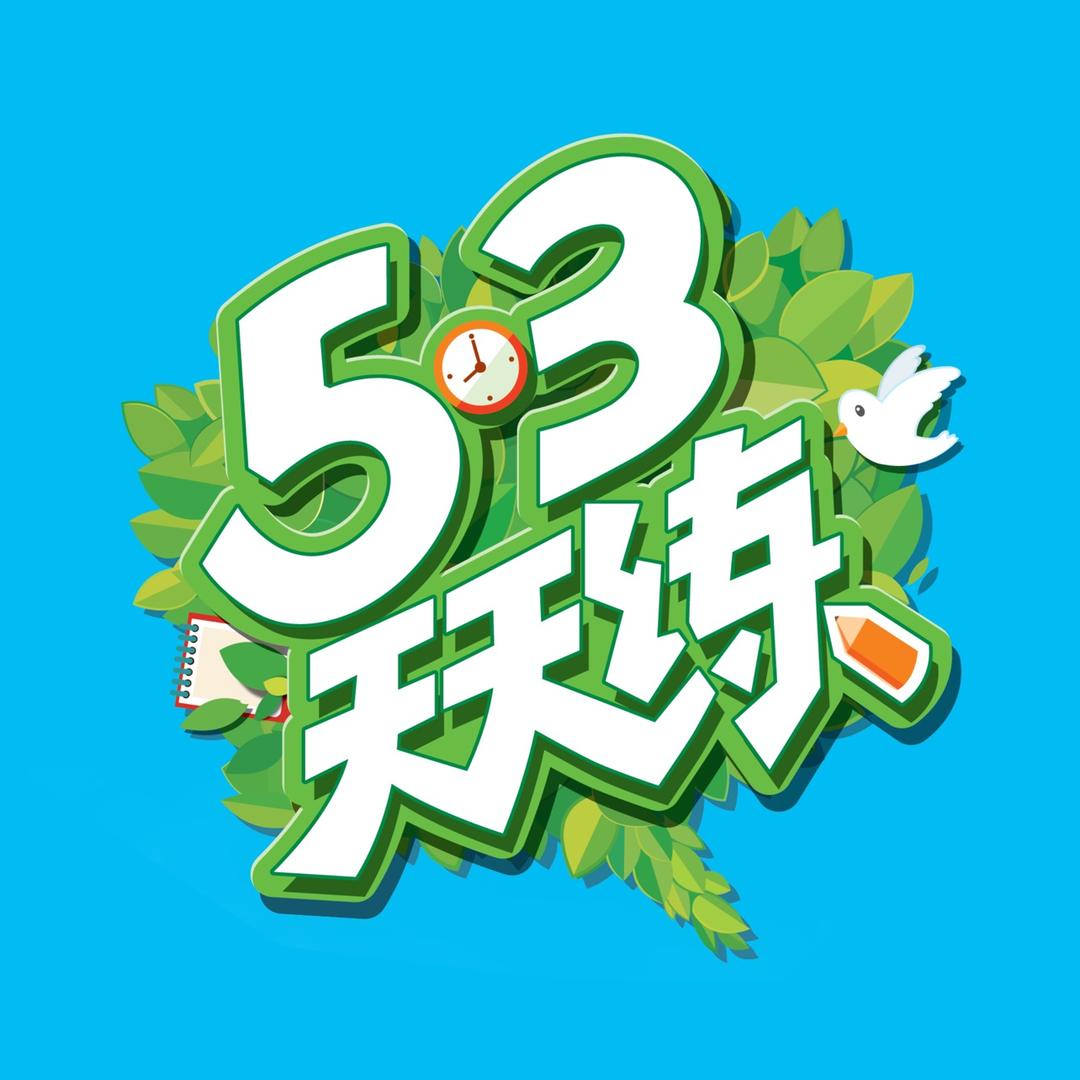 5·3天天练