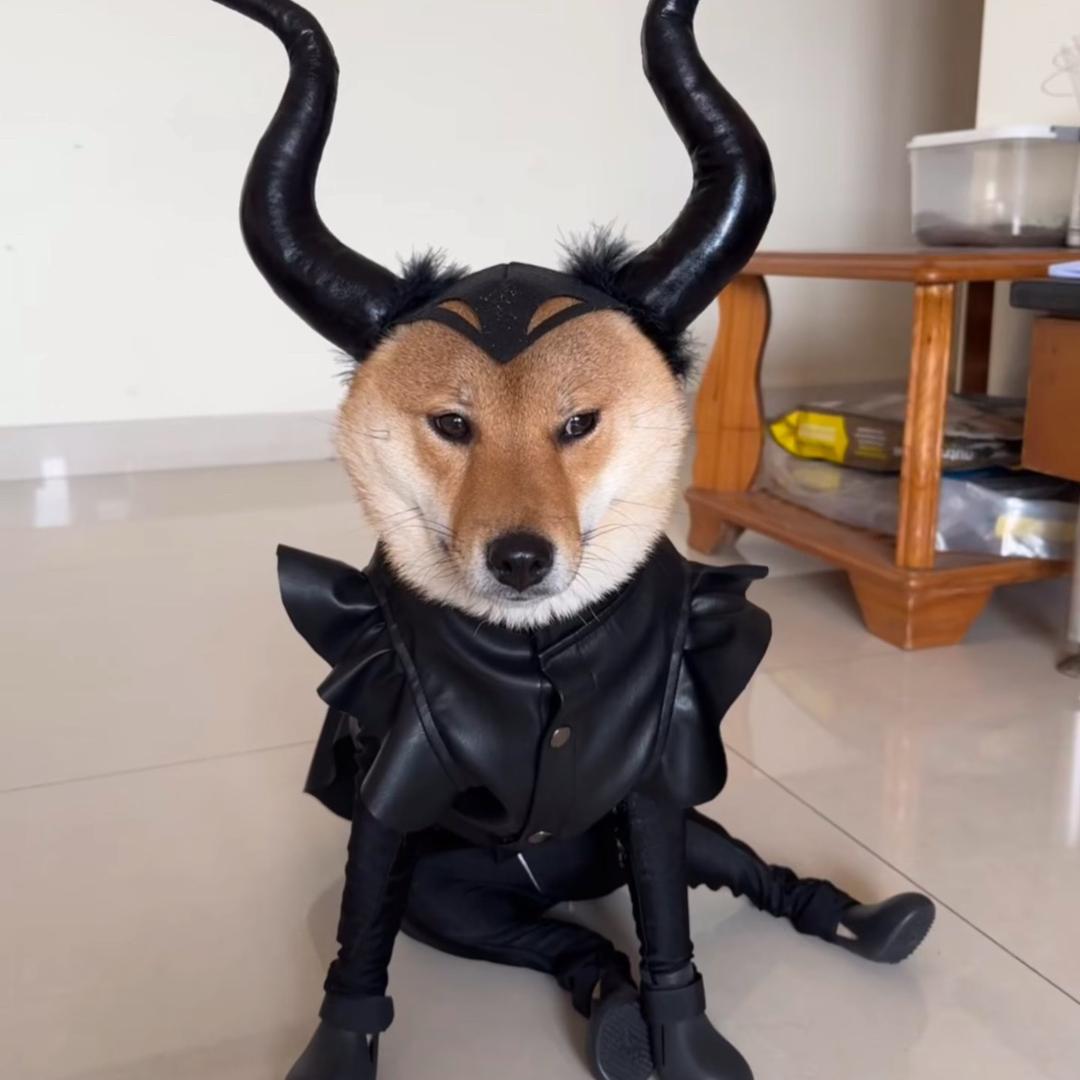 我爱运动-小果叮