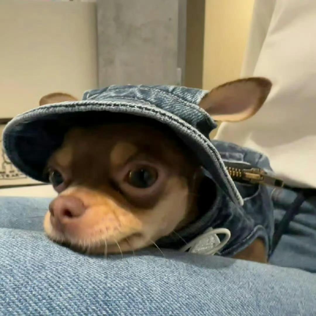 不能再吃了（见过王俊凯3.0版）