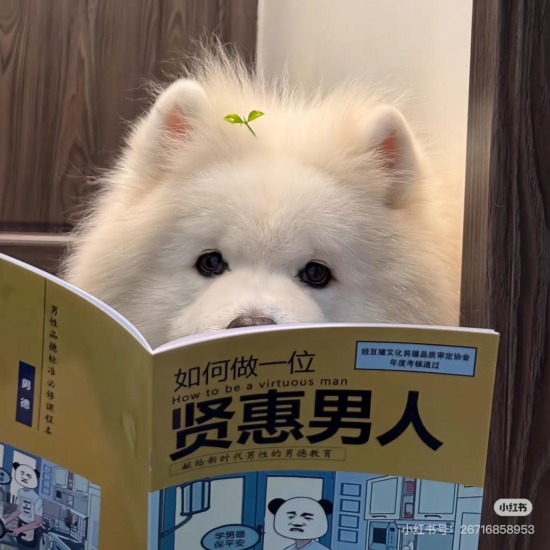青岚文房