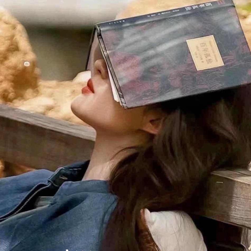 清大教育 红杉树小红本咨询