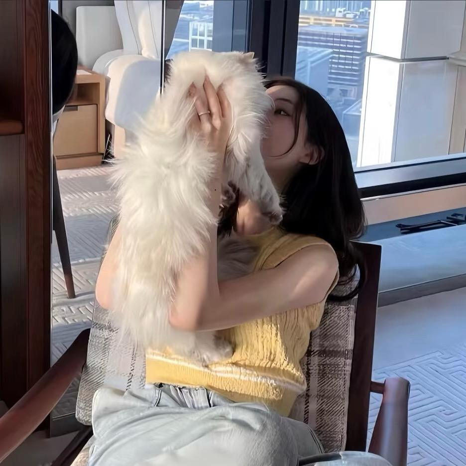 奶猫🐱小财迷💸