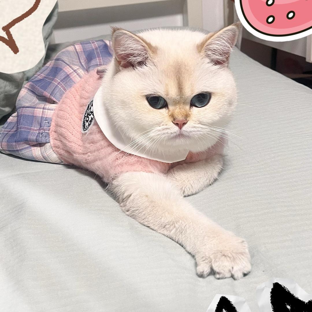 ᯤ⁵ᴳ草莓🍓百利甜