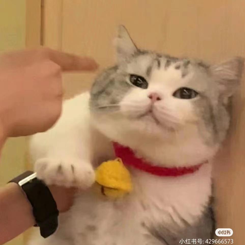 热心小市民