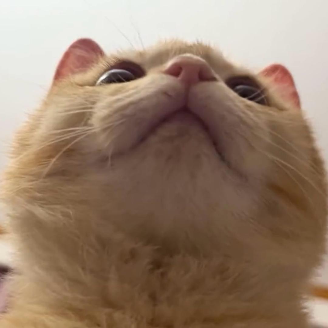 进宝