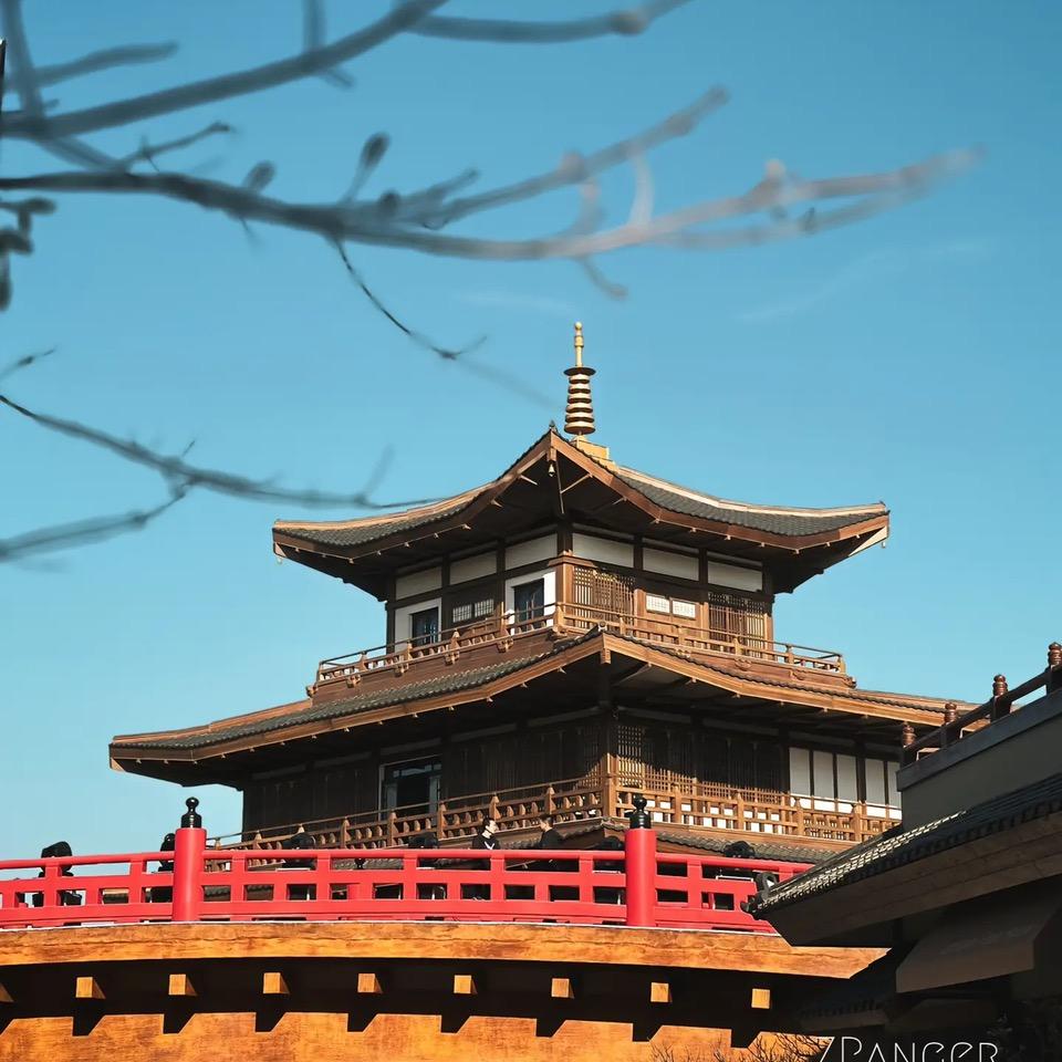 卉