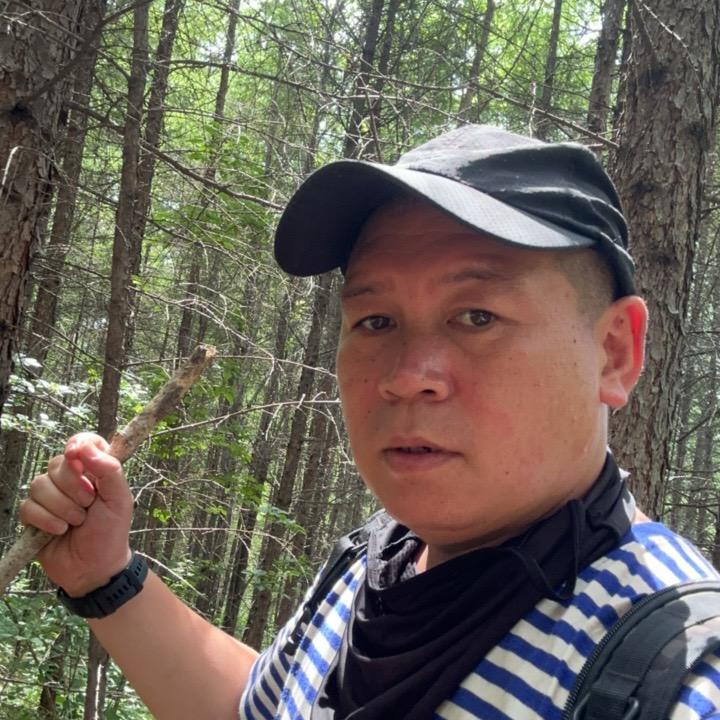 树根山货