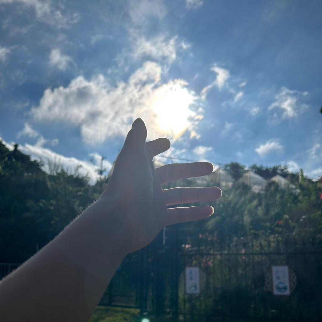 小钟小钟冲冲冲