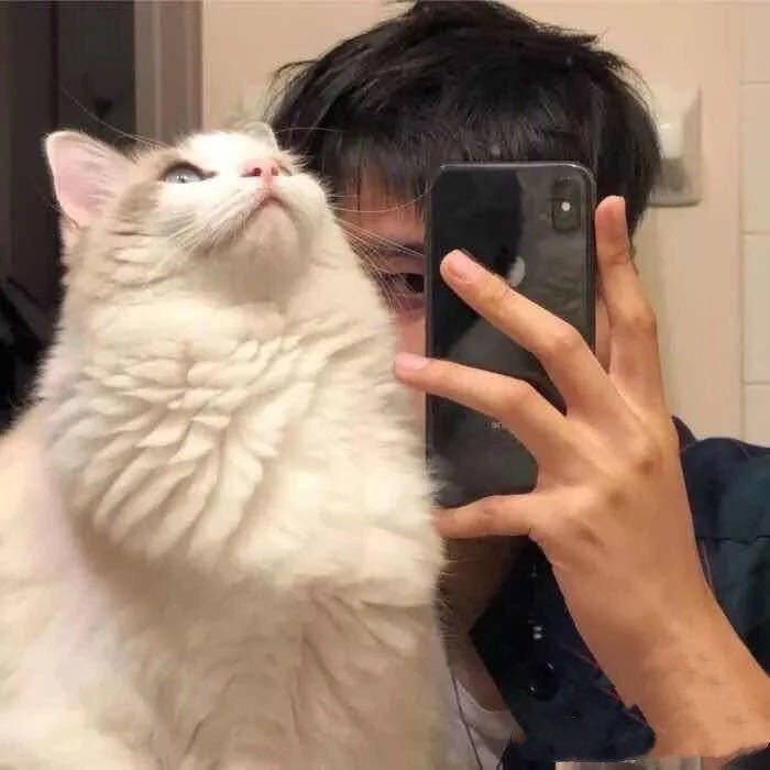 YBaolong