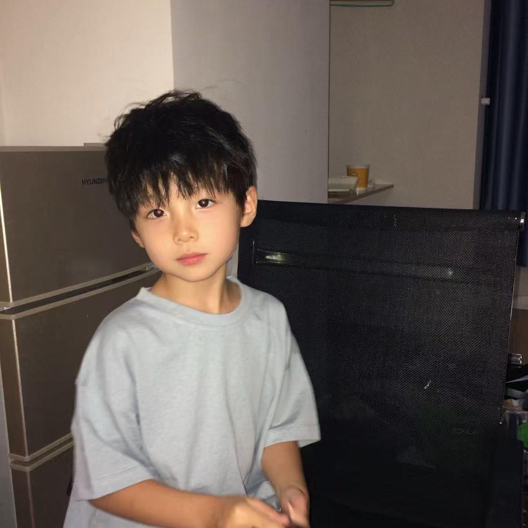劉安琦