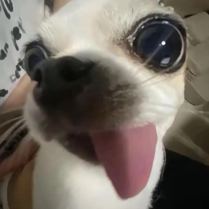 我有精神病会传染
