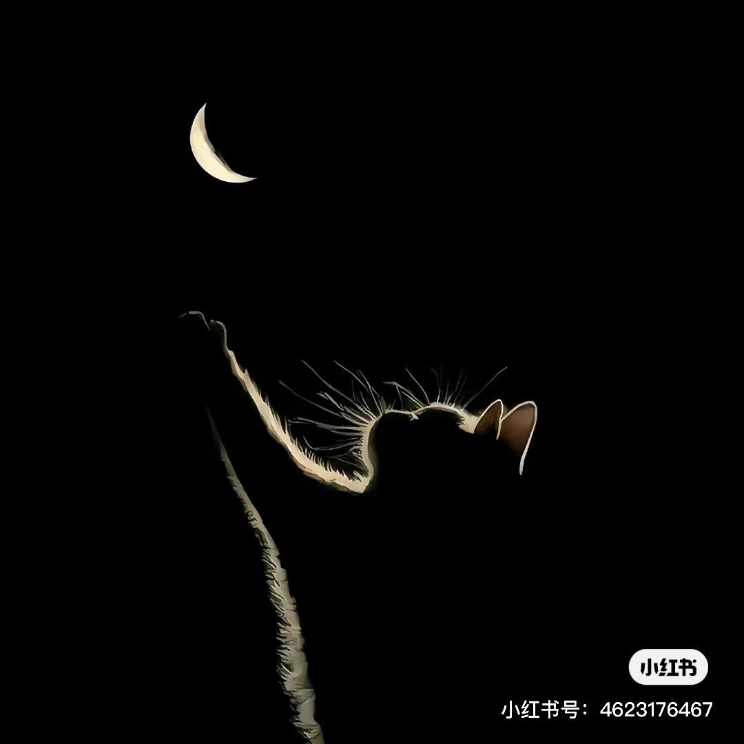 小航（考研版）