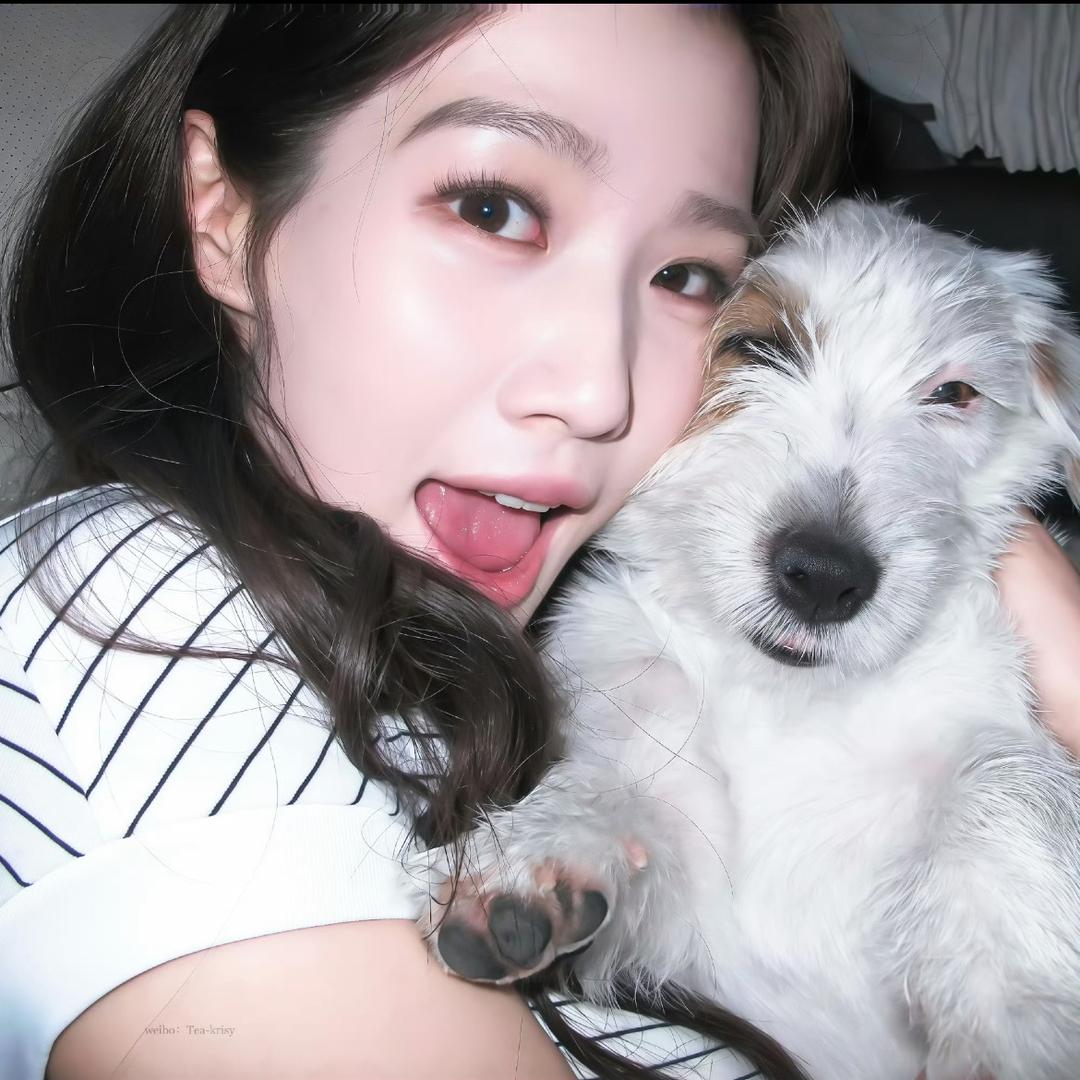 土豆你个马铃薯@