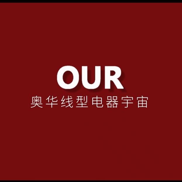 江都奥华｜金文