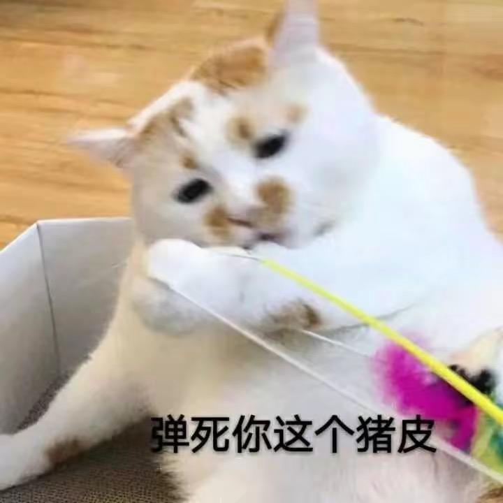 小脾气