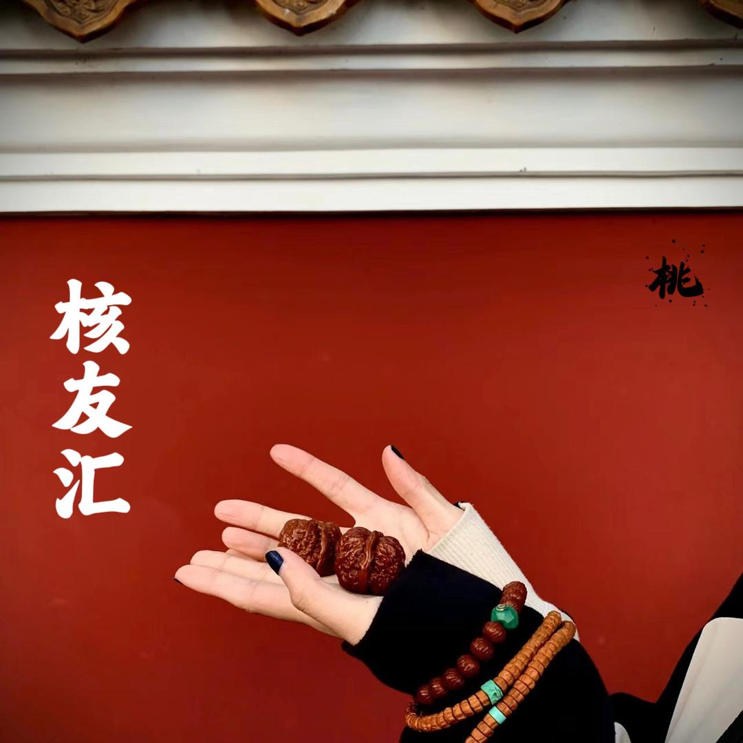 涞水核友汇文玩