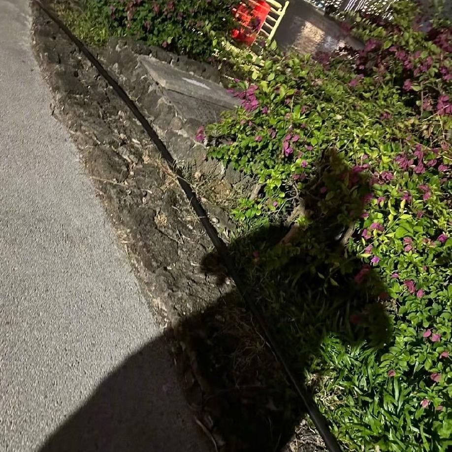 多吃面少吃亏