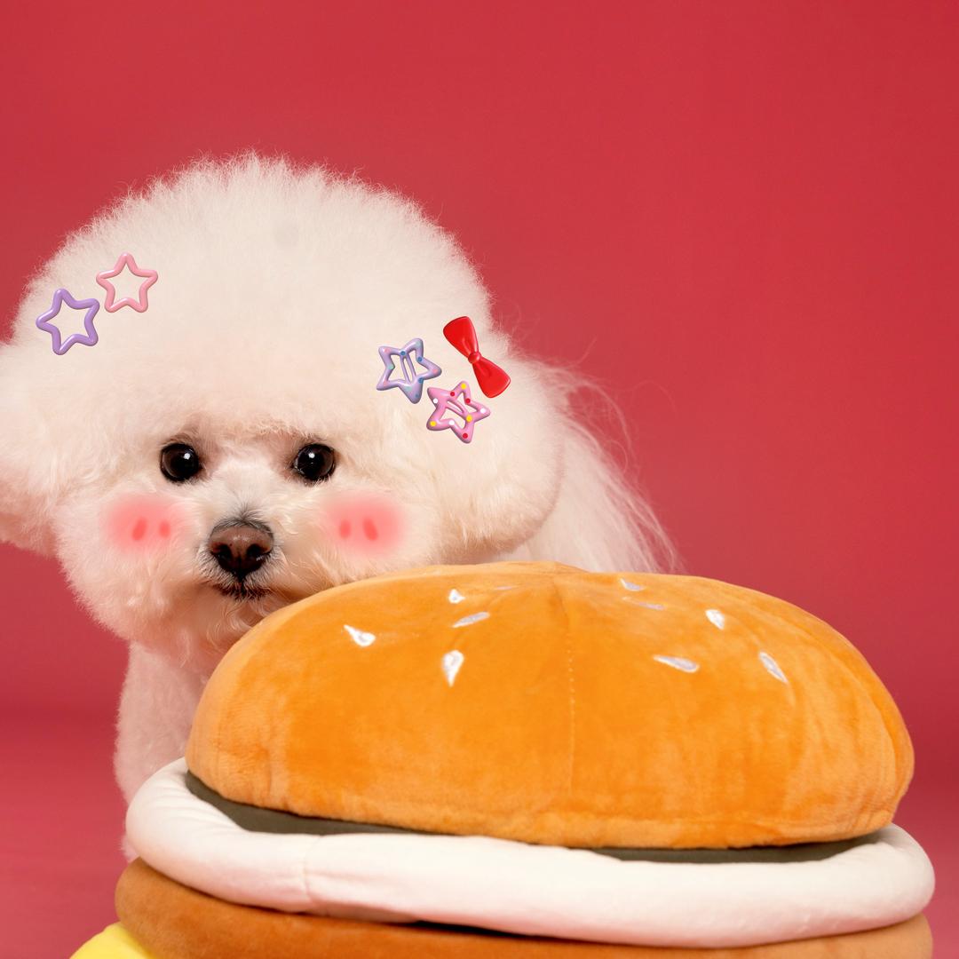 棉花糖是lucky呀