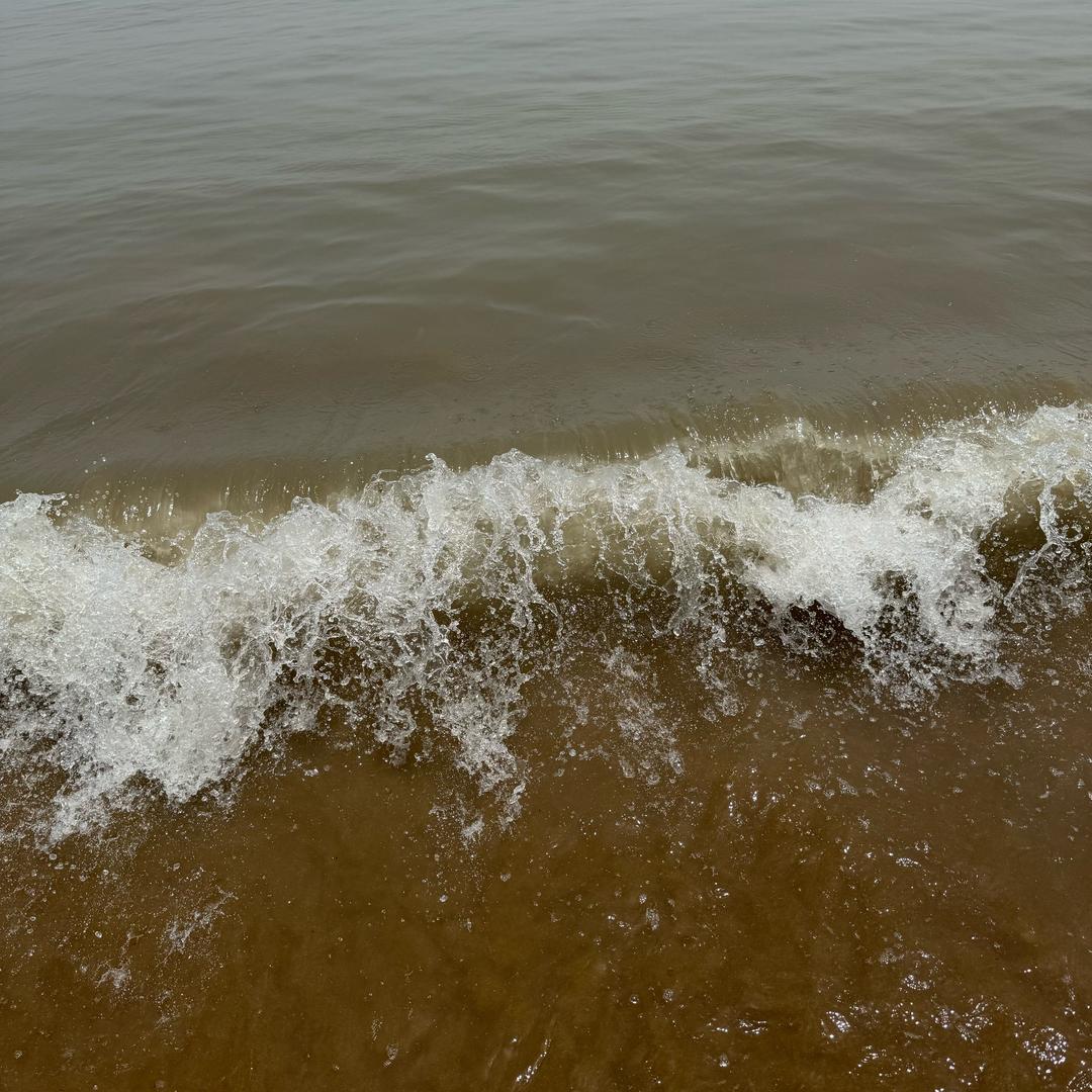 天若有情天亦老