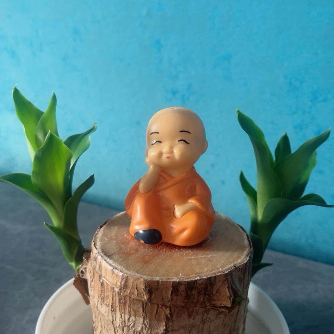 星光不问赶路人