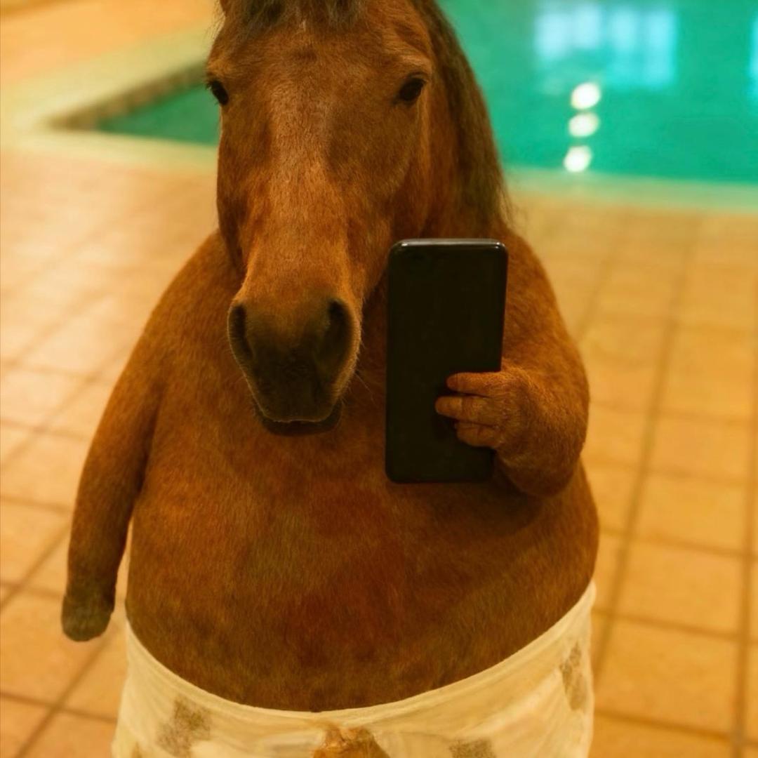 一只站在树上的鸟🪷