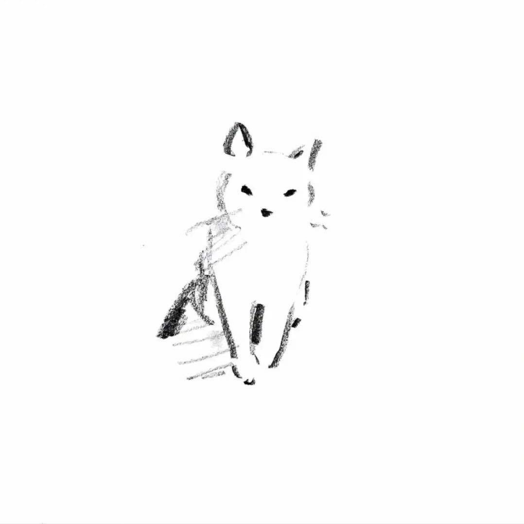 虎虎.