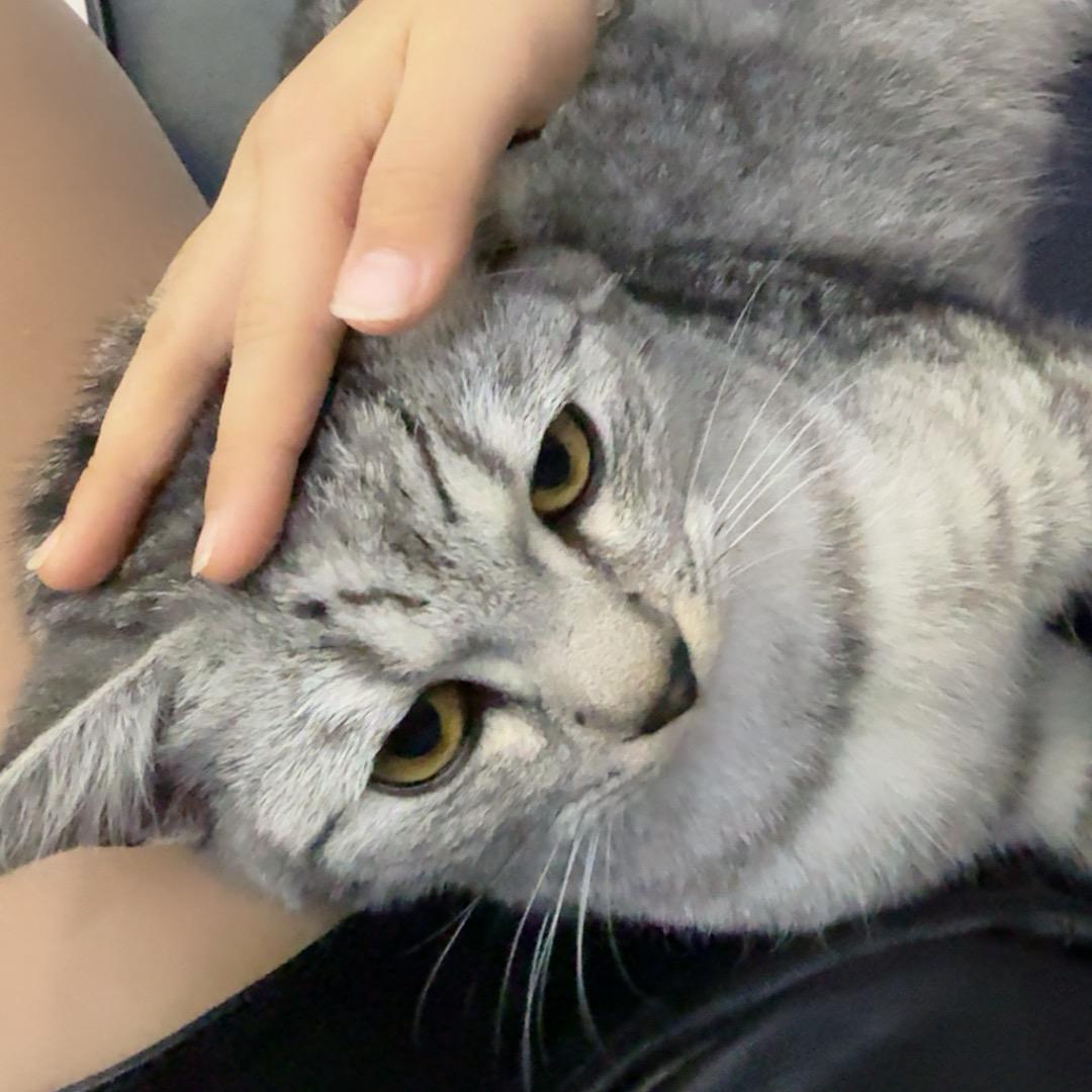 糖糖🍬(*｀へ´*)