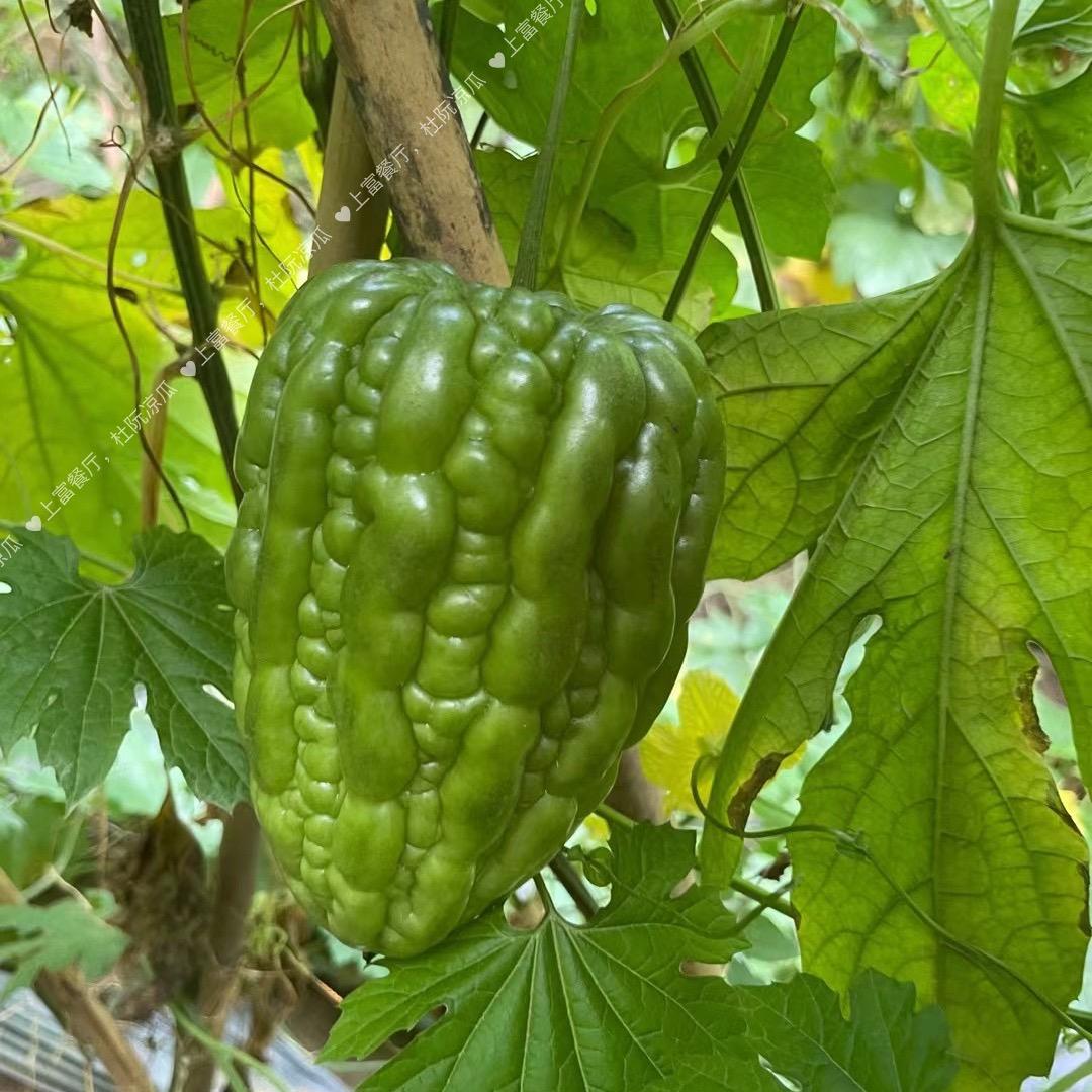 上富餐厅