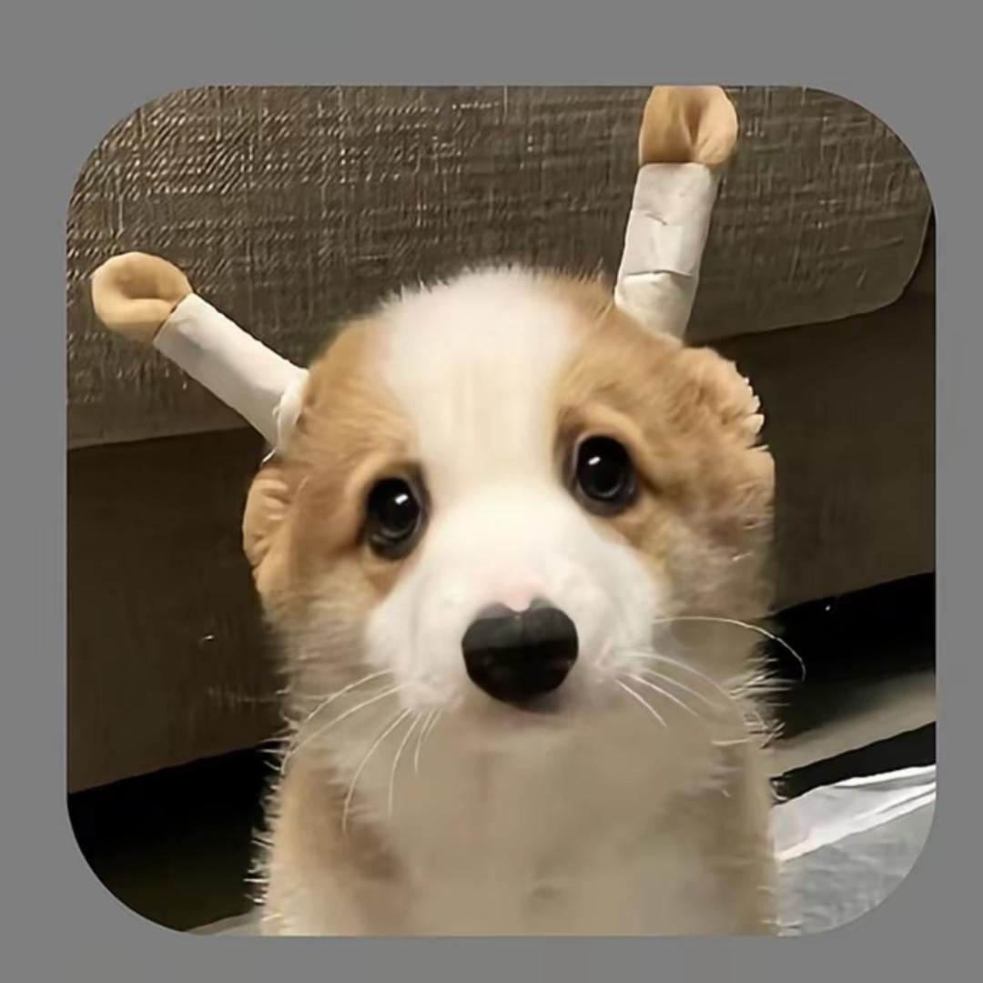 1120