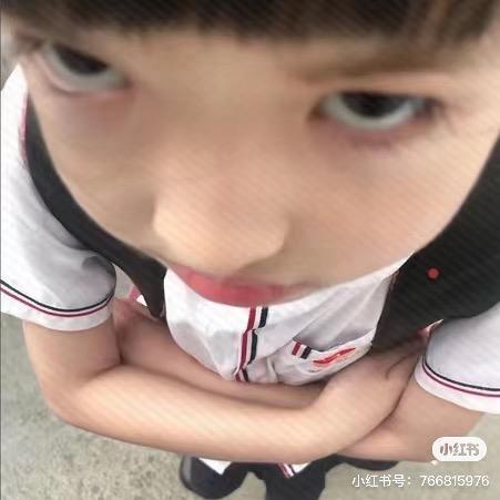 碎碎冰小狗