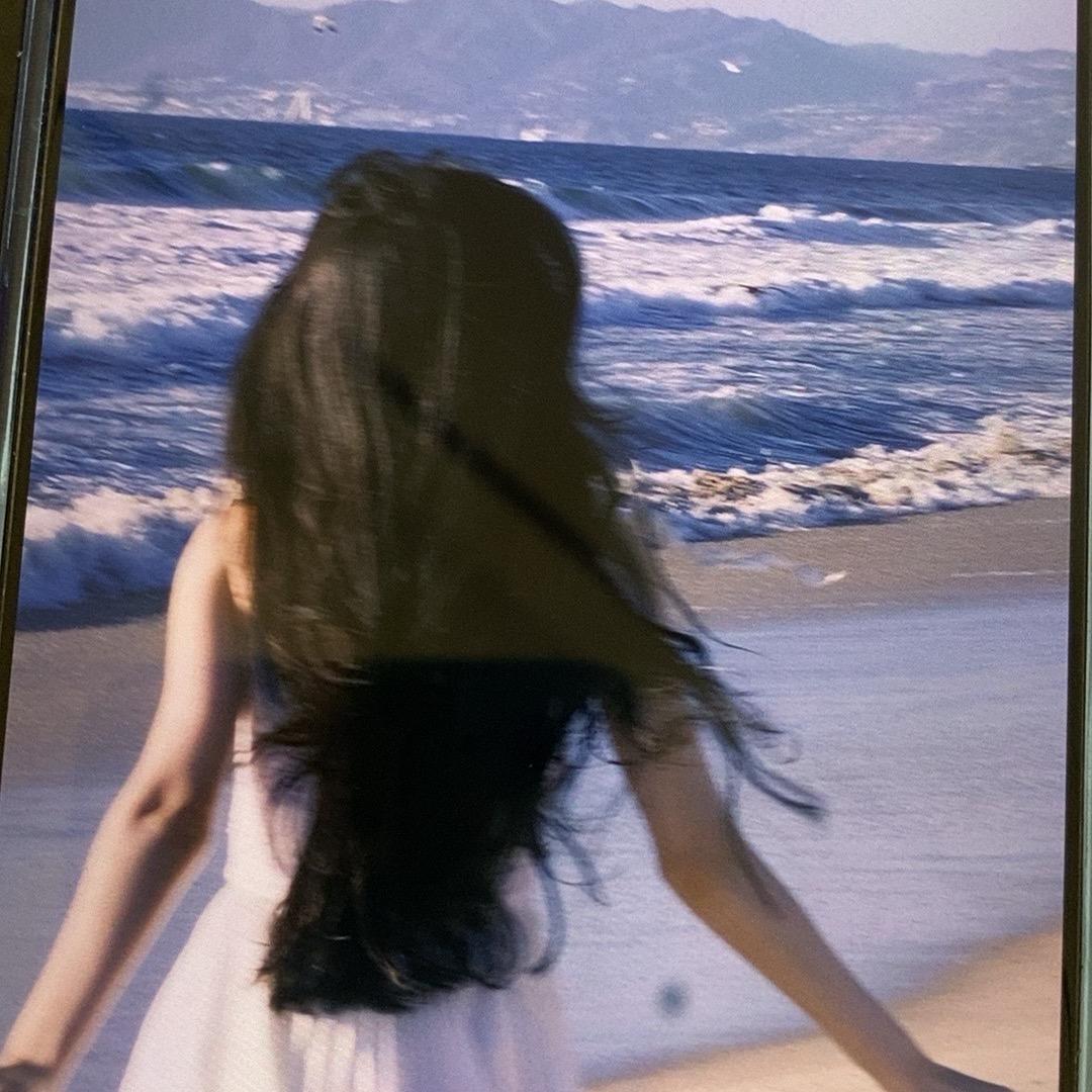 会飞的魚