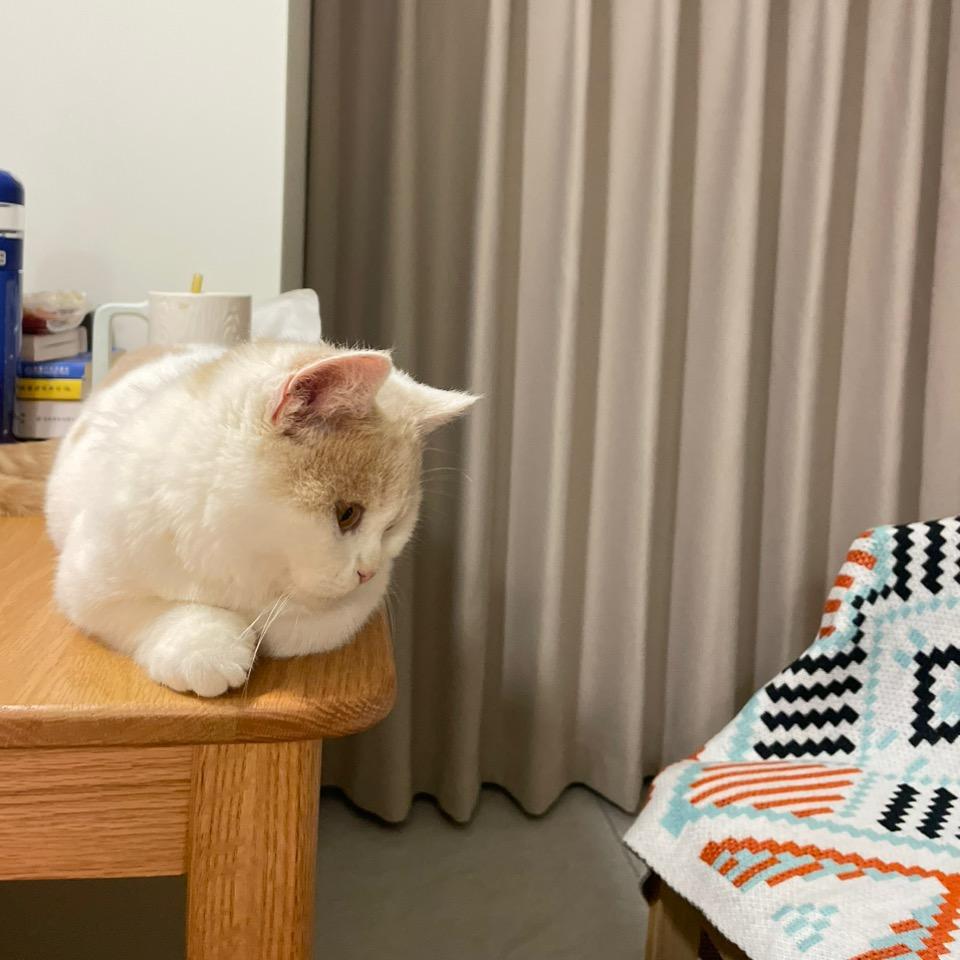 甄能吃