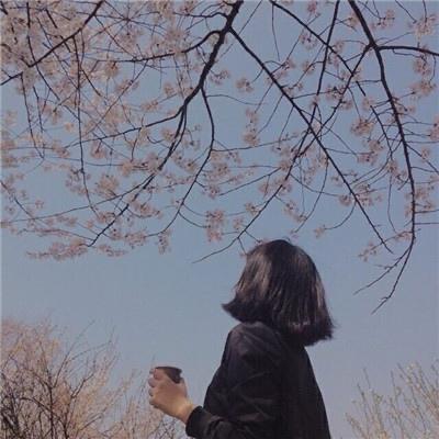 骑着蜗牛去散步