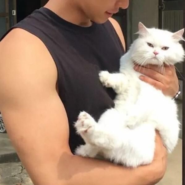 太阳